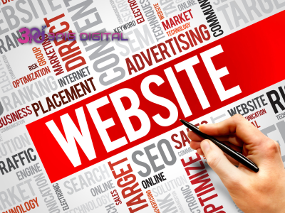 Cấu tạo, hoạt động và các loại website phổ biến